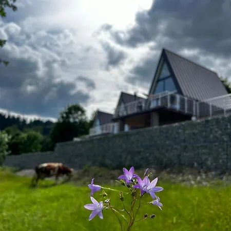 Acko Holiday home *