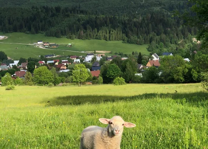 Acko * オシュチュニツァ